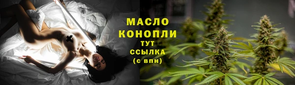 крисы Богородск