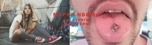 шишки Арсеньев