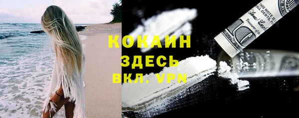 крисы Армянск